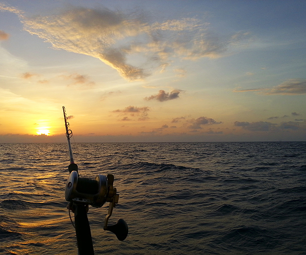 Reel Sunset Fishing Charters